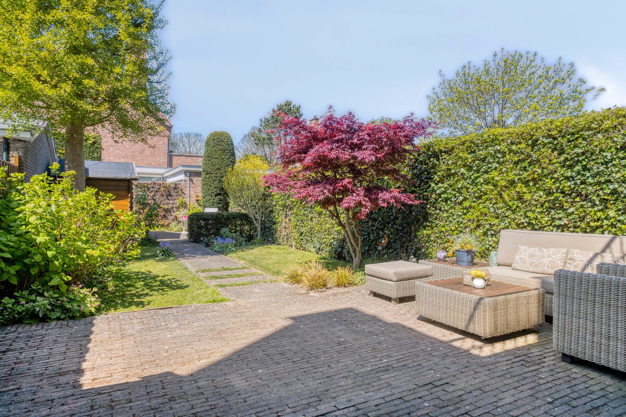 Terras en tuin